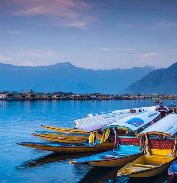 Majestic Kashmir Tour 6N | 7D